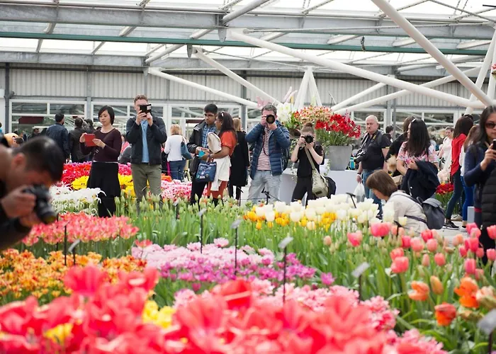 Appartement View Alkmaar